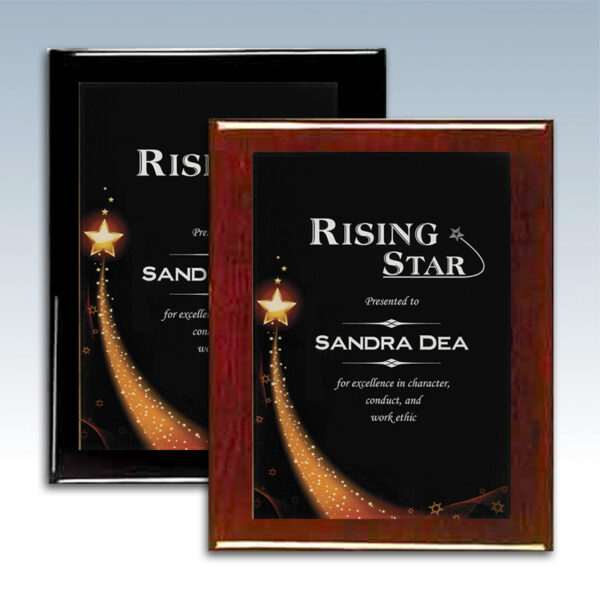 Piano Finish Plaque with Star Acrylic Plate