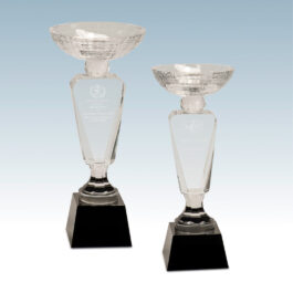 Crystal Cup with Black Base