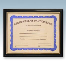 Gold Slide-In Frame Certificate Plaque