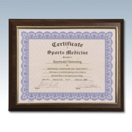 Gold Slide-In Frame Certificate Plaque