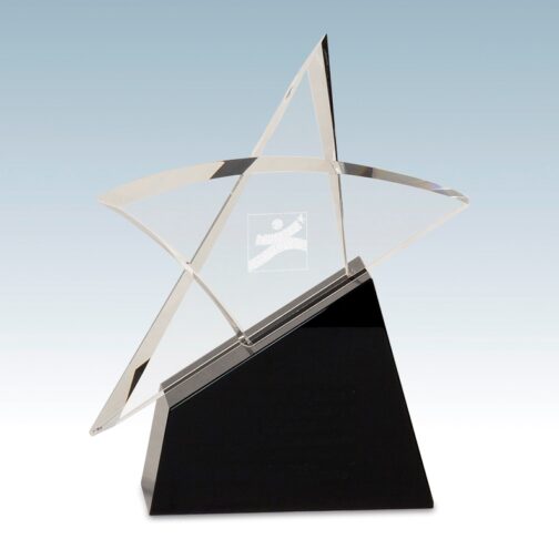 Crystal Star Outline Award