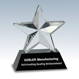 Crystal 3D Star on Black Base Award