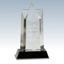 Crystal Star Column Award