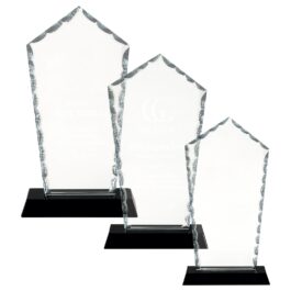 Diamond Facet Glass Award