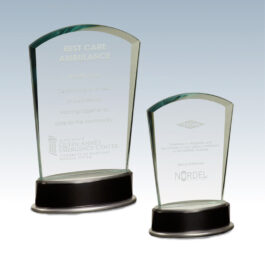 Fan Metro Glass Award