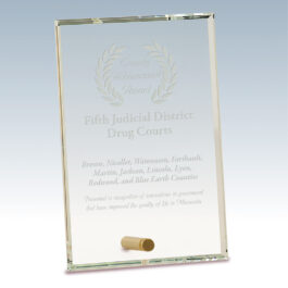 Glass Rectangle with Brass Pin Award