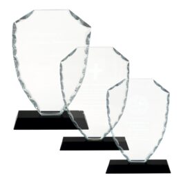 Shield Facet Glass Award